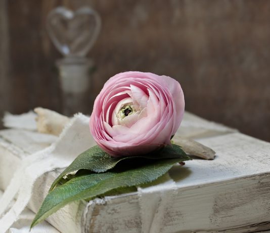 scrivere libri