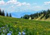 Cosa vedere in alta Irpinia