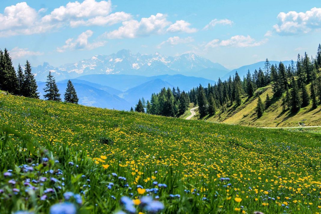 Cosa vedere in alta Irpinia