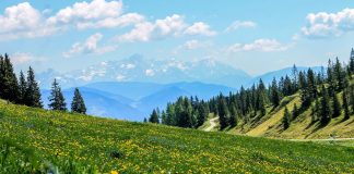 Cosa vedere in alta Irpinia